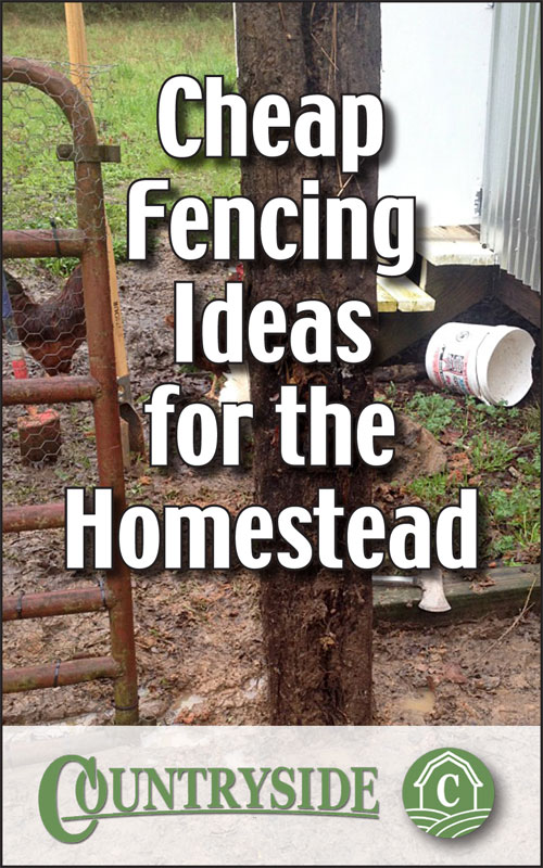 Cheap Fencing